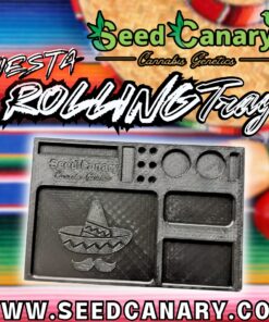 Seed Canary - Fiesta Rolling Tray
