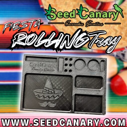 Seed Canary - Fiesta Rolling Tray
