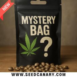Cannabis Seed Mystery Bag | 3–5 Packs & More!