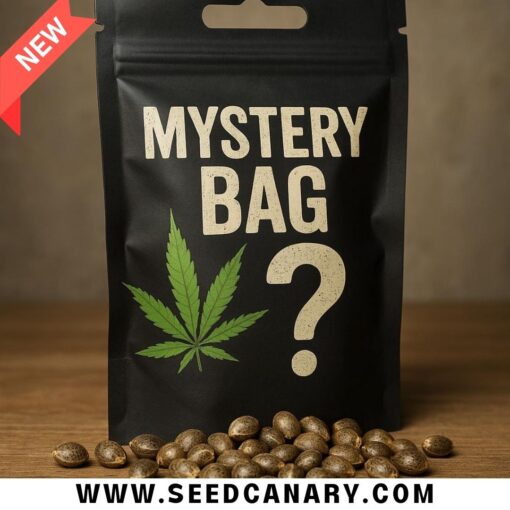 Cannabis Seed Mystery Bag | 3–5 Packs & More!