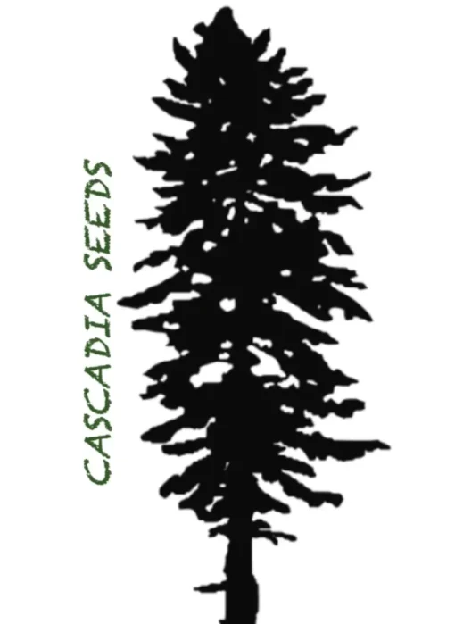 Cascadia Seeds - Skamania Skunk (10x Feminized Seeds) - Image 2