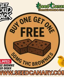 Cannabis Infused Brownies – 50mg THC | Buy One, Get One FREE