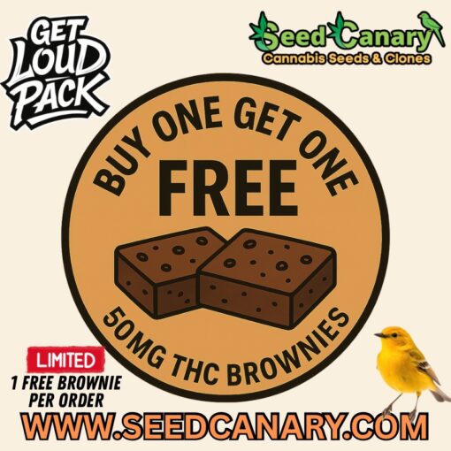 Cannabis Infused Brownies – 50mg THC | Buy One, Get One FREE