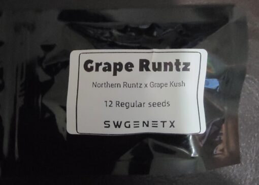 Grape Runtz (Northern Runtz x Grape Kush) - 12 Regs