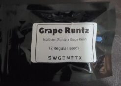 Grape Runtz (Northern Runtz x Grape Kush) - 12 Regs