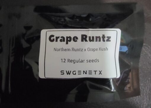Grape Runtz (Northern Runtz x Grape Kush) - 12 Regs