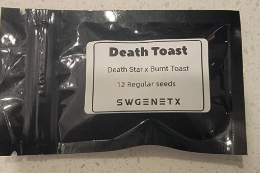 Death Toast (Death Star x Burnt Toast) - 12 Regs - Image 2