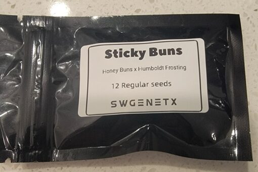 Sticky Buns (Honey Buns x Humboldt Frosting) - 12 Regs - Image 2