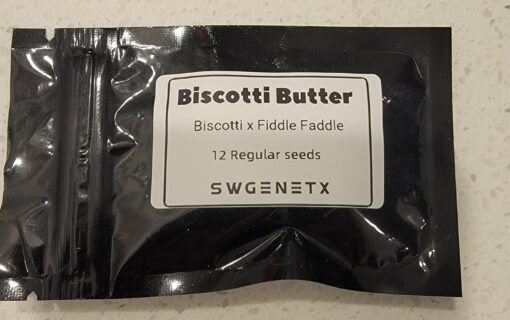 Biscotti Butter (Biscotti x Fiddle Faddle) - 12 Regs