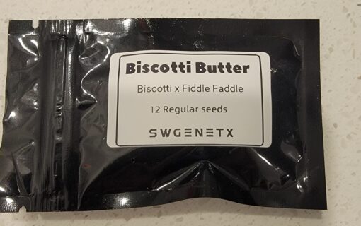 Biscotti Butter (Biscotti x Fiddle Faddle) - 12 Regs