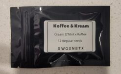 Koffee & Kream (Cream D'Mint x Koffee) - 12 Regs