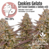 Healthy Cookies Gelato weed clone ready for growers, offering strong hybrid genetics and sweet flavor