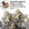 Chocolate Haze cannabis clone for sale with 95% sativa genetics and rich chocolate aroma