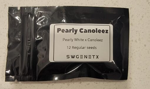 Pearly Canoleez (Pearly White x Canoleez) - 12 Regs