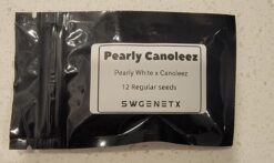 Pearly Canoleez (Pearly White x Canoleez) - 12 Regs