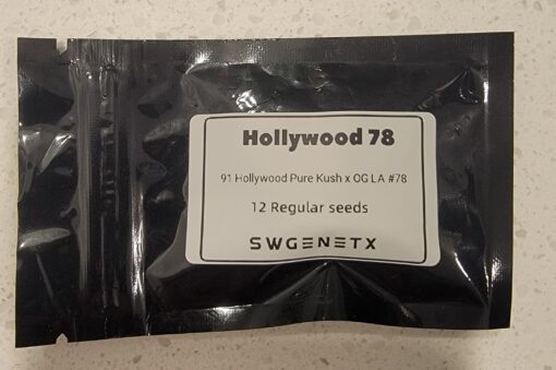 Hollywood 78 (91 Hollywood Pure Kush x OG LA#78) - 12 Regs
