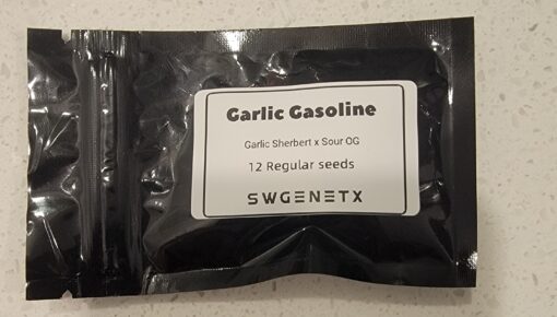 Garlic Gasoline (Garlic Sherbert x Sour OG)