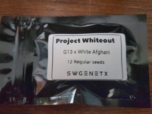 Project Whiteout (G13 x White Afghani) - 12 Regs