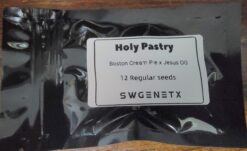 Holy Pastry (Boston Cream Pie x Jesus OG) - 12 Regs