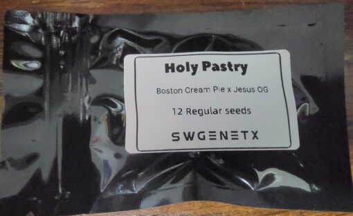 Holy Pastry (Boston Cream Pie x Jesus OG) - 12 Regs