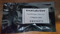 Great Lake Glow (Pure Michigan x Sensi Star) - 12 Regs