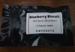 Blueberry Biscuit (Milk Bone x Blue Dream) - 12 Regs