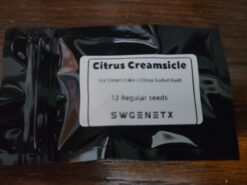 Citrus Creamsicle (Ice Cream Cake x Citrus Sorbet Kush) - 12 Regs