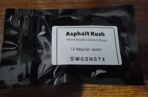 Asphalt Kush (Motor Breath x Cement Shoes) - 12 Regs