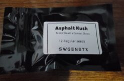 Asphalt Kush (Motor Breath x Cement Shoes) - 12 Regs