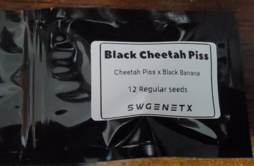Black Cheetah Piss (Cheetah Piss x Black Banana) - 12 Regs - Image 2