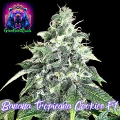 Banana Tropicana Cookies F1