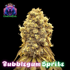 Bubblegum Sprite