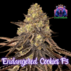 Endangered Cookies F3