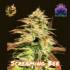 Screaming Bee