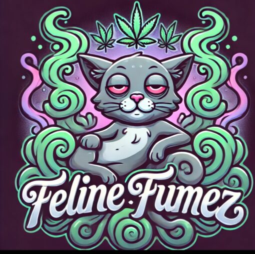 Feline Fumez (Purple Kitty x Candy Fumez) - 12 Regs