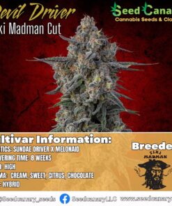 Devil Driver - (Tiki Cut) Rooted Clone