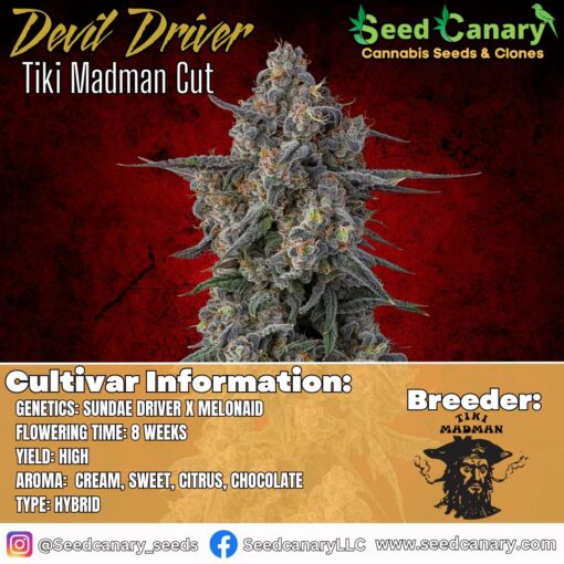 Devil Driver - (Tiki Cut) Rooted Clone