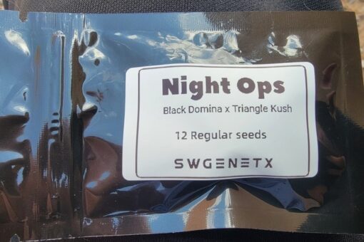 Night Ops (Black Domina x Triangle Kush) - 12 Regs