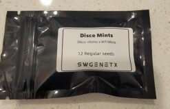 Disco Mints (Disco Inferno x Wifi Mints) - 12 Regs