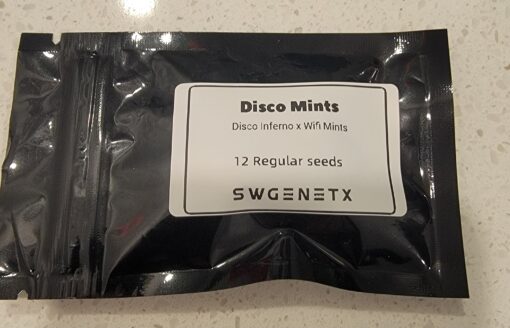 Disco Mints (Disco Inferno x Wifi Mints) - 12 Regs