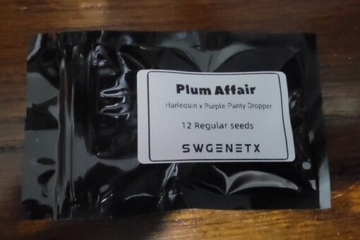 Plum Affair (Harlequin x Purple Panty Dropper) - 12 Regs