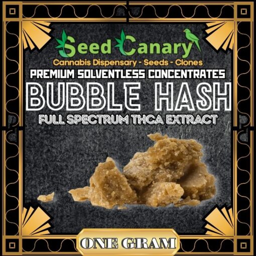 Premium THCA Bubble Hash | Runtz (1G)