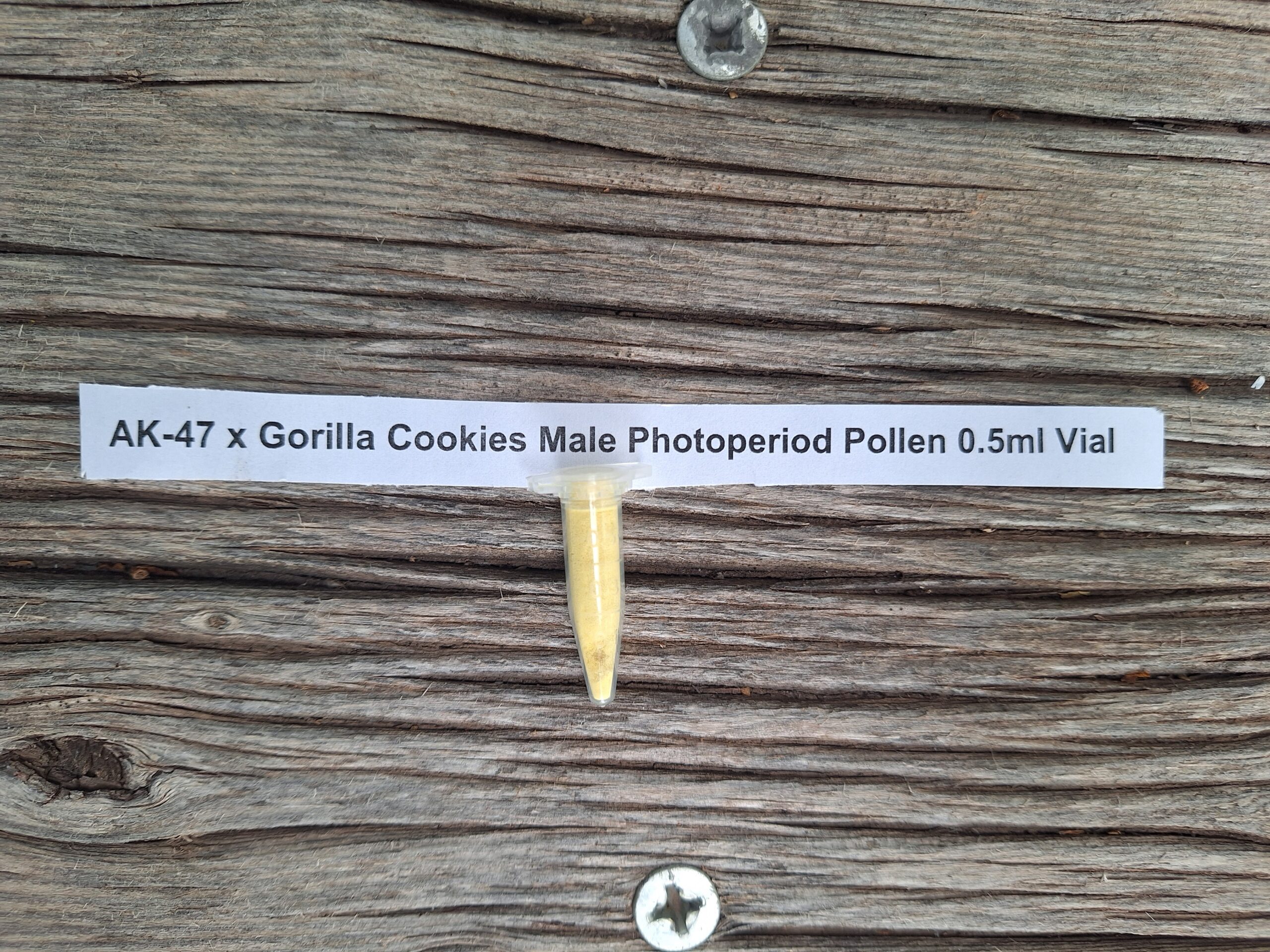 AK-47 x Gorilla Cookies Male Photoperiod Pollen 0.5ml Vial