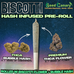 Biscotti | THCA Bubble Hash Infused Pre-Roll