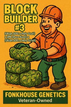 Block Builder #3- 1 Rooted Clone