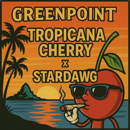 Greenpoint Trop cherry x Stardawg 10 Photo(regs) beans.
