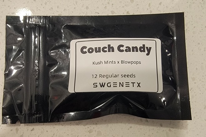 Couch Candy (Kush Mints x Blowpops) - 12 Regs