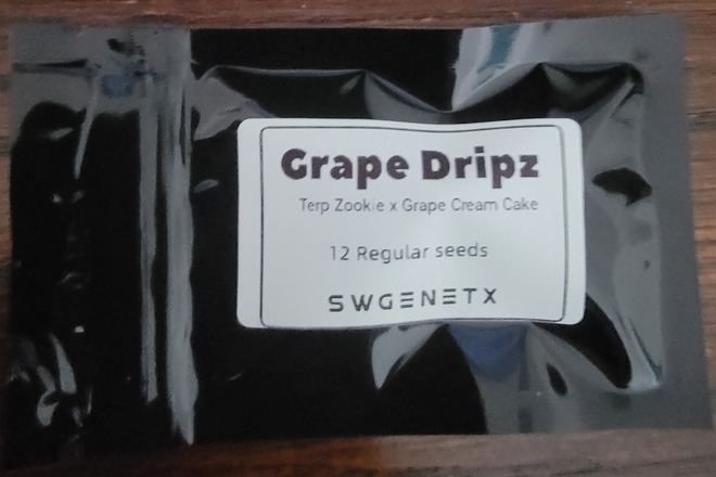 Grape Dripz (Terp Zookie x Grape Cream Cake) - 12 Regs