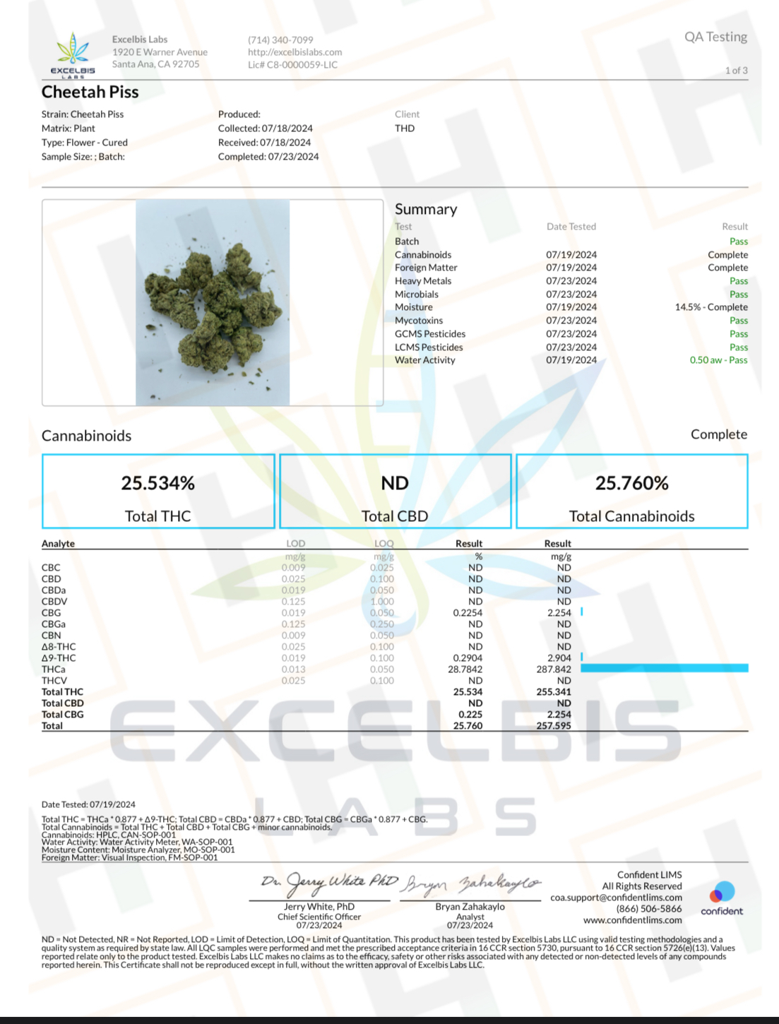Cheetah Piss - THCA Cannabis Flower (3.5 Grams) - Image 2