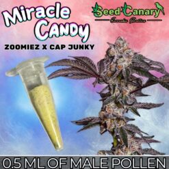 Miracle Candy - Male Pollen (0.5ml Vial)